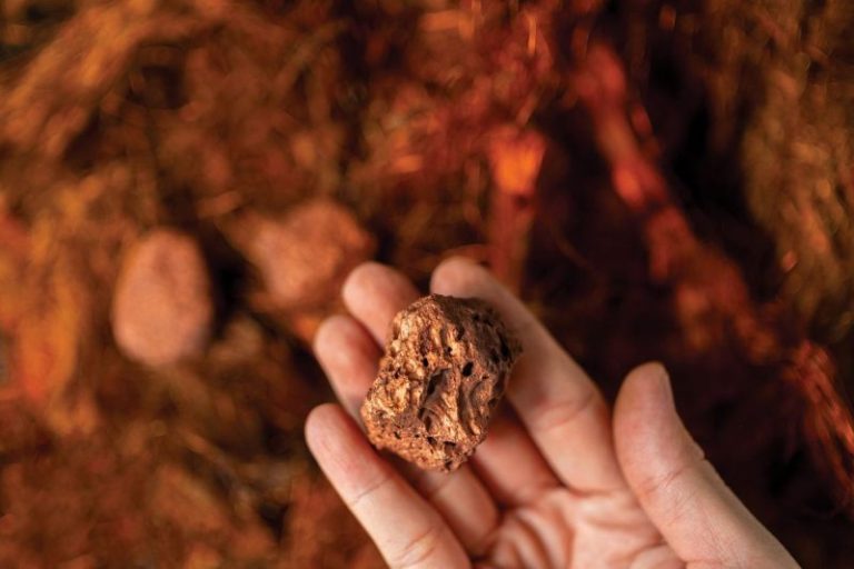 What’s the Next US Copper Mine? 26 Copper Projects to Watch